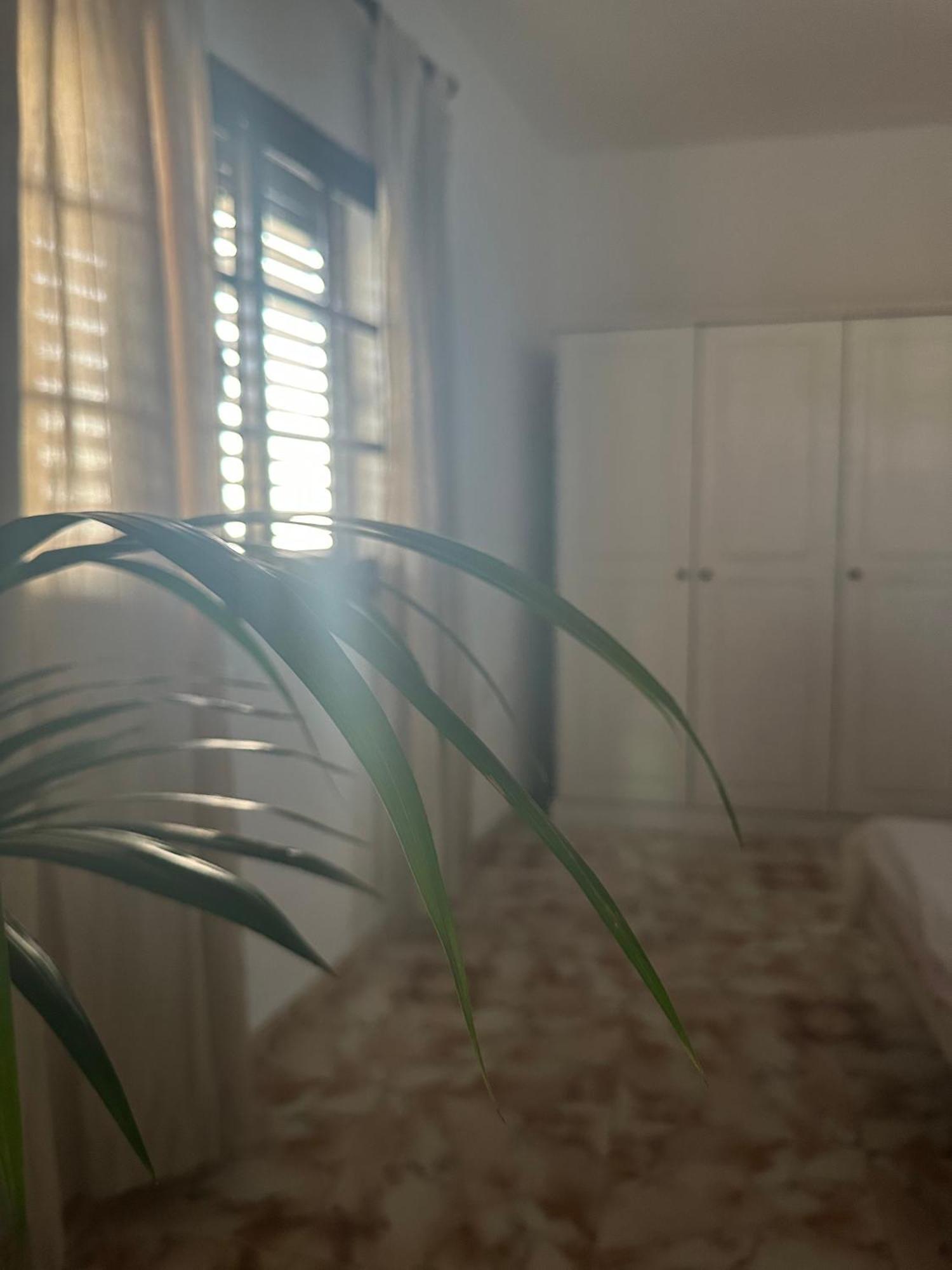 Apartamento Fortaleza Vallehermoso Eksteriør billede