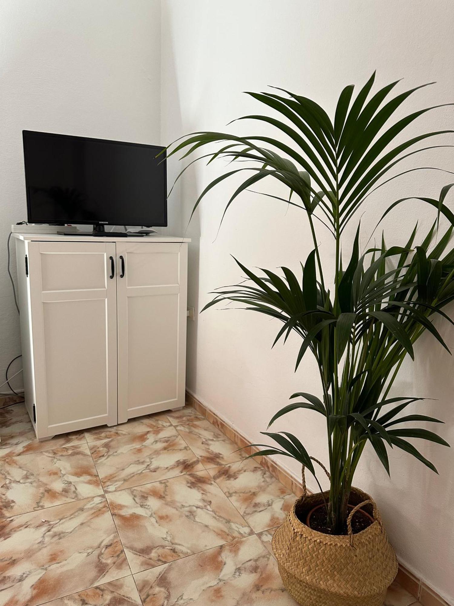 Apartamento Fortaleza Vallehermoso Eksteriør billede