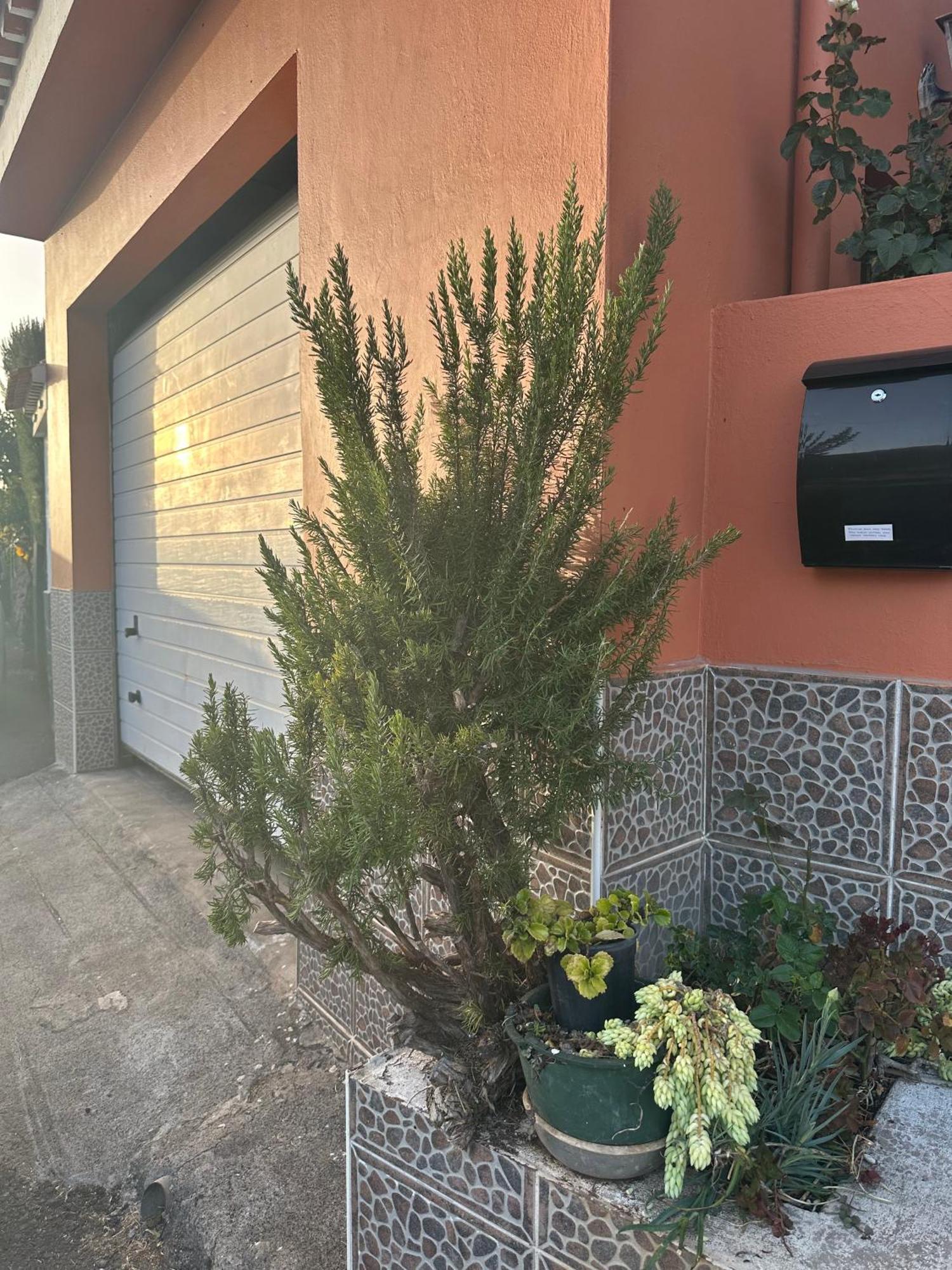Apartamento Fortaleza Vallehermoso Eksteriør billede