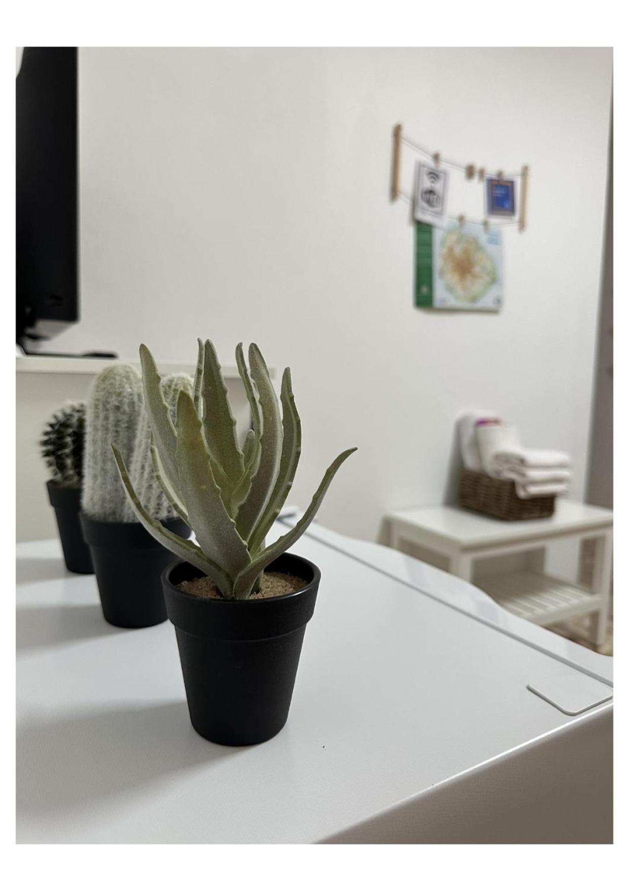 Apartamento Fortaleza Vallehermoso Eksteriør billede